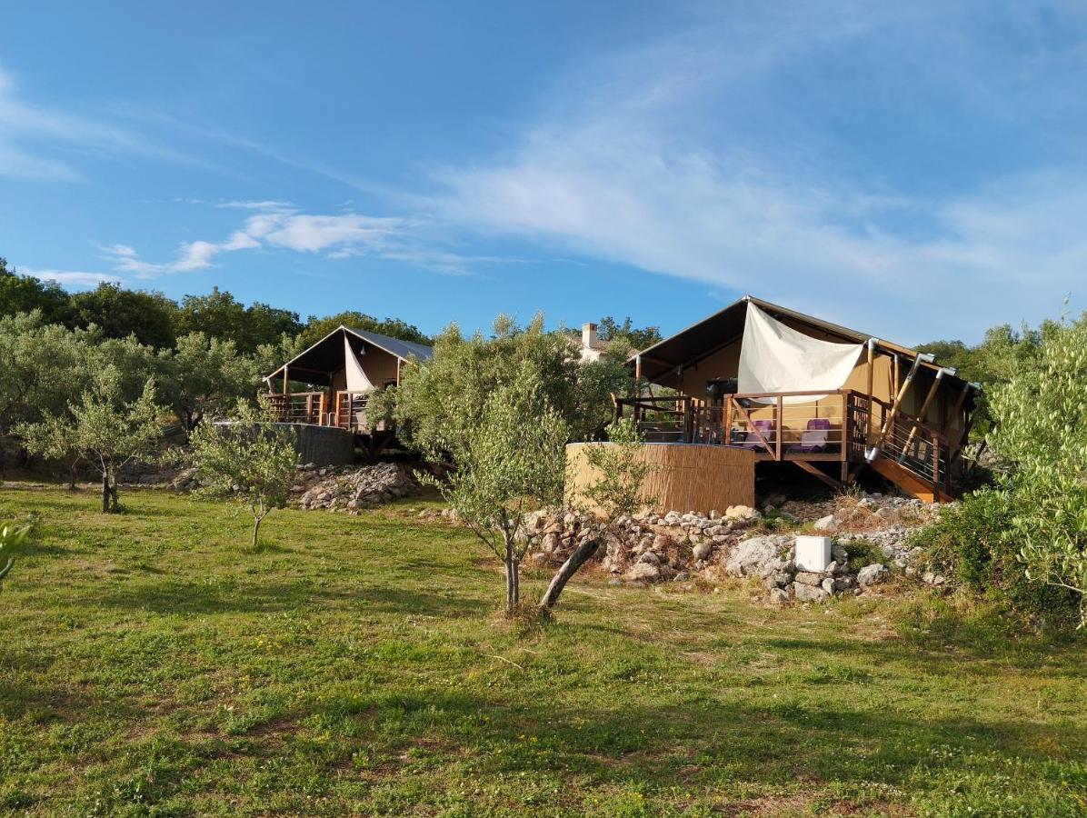 Prima Insula Glamping 호텔 Brusici 외부 사진